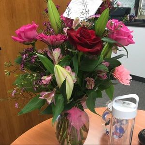 Meet your Posher, Anna